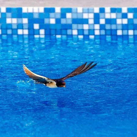 Enna With Heated Pool, Zadar Crno