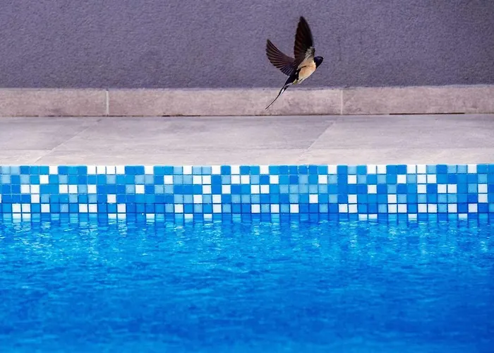 Enna With Heated Pool, Zadar