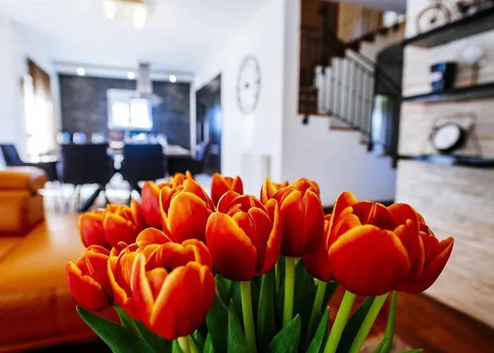 Enna With Heated Pool, Zadar 别墅 Crno