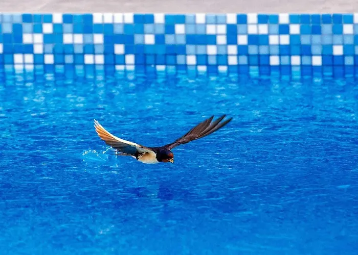 Enna With Heated Pool, Zadar Crno