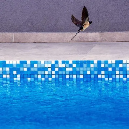 Enna With Heated Pool, Zadar