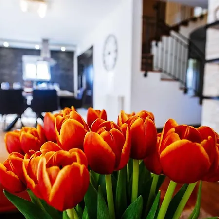 Enna With Heated Pool, Zadar ヴィラ Crno