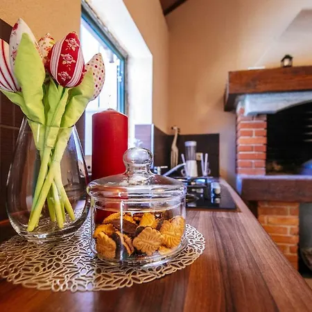 Vila Enna With Heated Pool, Zadar *